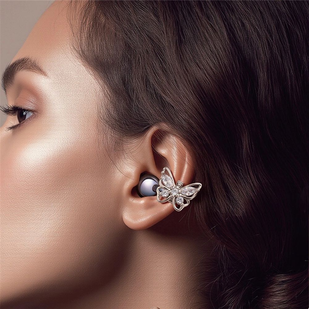 Earphone Accessories